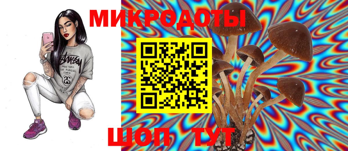 Галлюциногенные грибы мухоморы Добрянка
